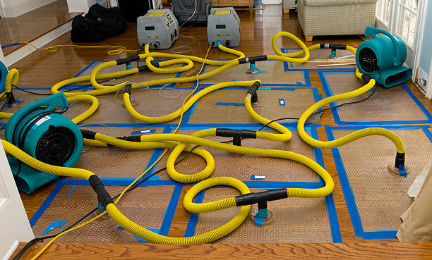 Professional Water Extraction technician working in Julian, NC
